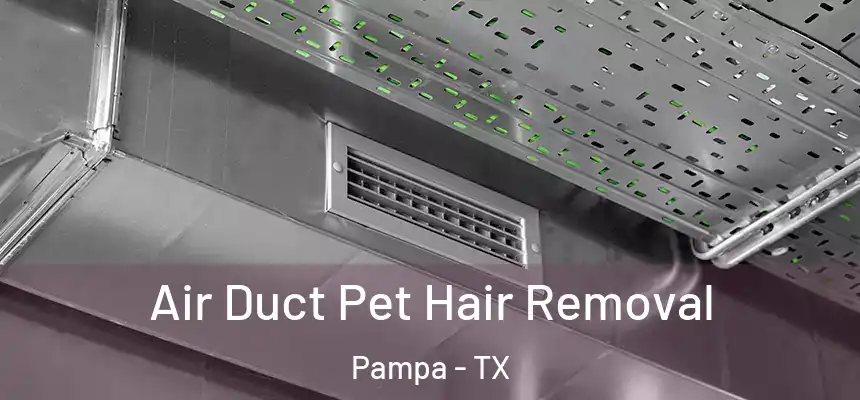  Air Duct Pet Hair Removal Pampa - TX