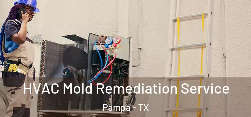  HVAC Mold Remediation Service Pampa - TX