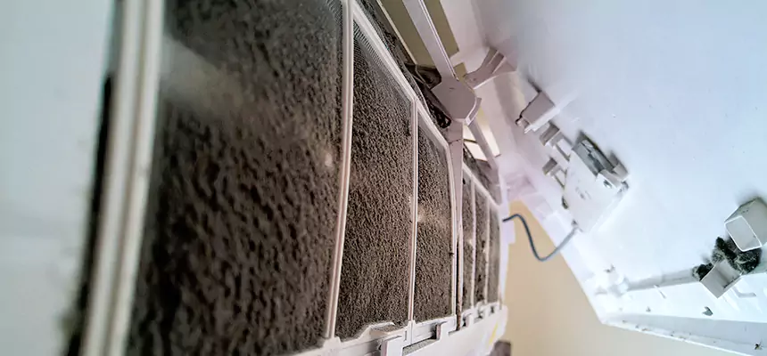 Preventive Air Duct Bacteria Removal in Pampa