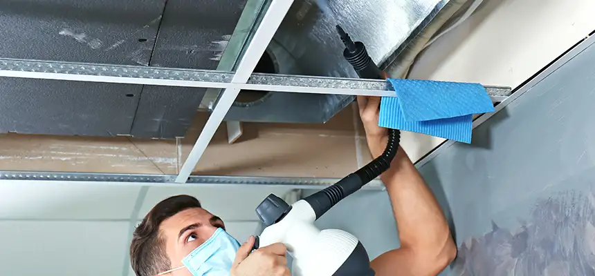 Our Air Duct Rodent Removal Services in Pampa, TX