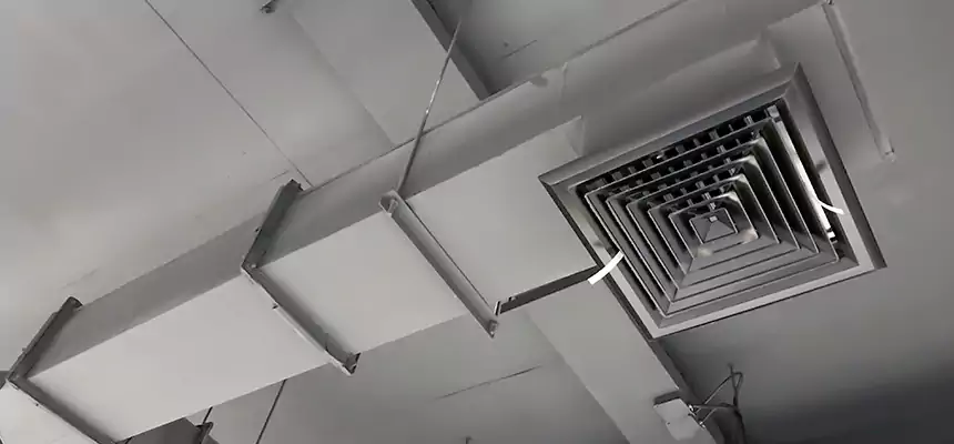 Our Rodent Droppings In Vents Services in Pampa, TX