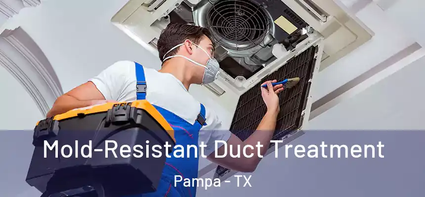  Mold-Resistant Duct Treatment Pampa - TX