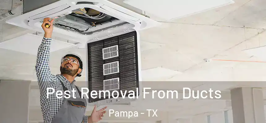  Pest Removal From Ducts Pampa - TX