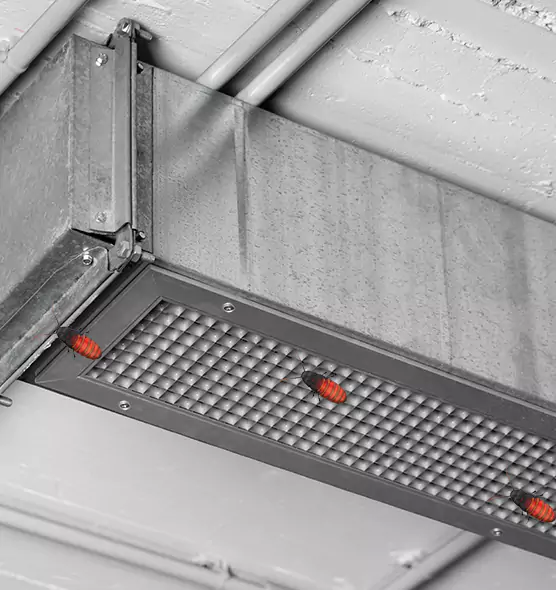 About Air Duct Cockroach Removal in Pampa, TX