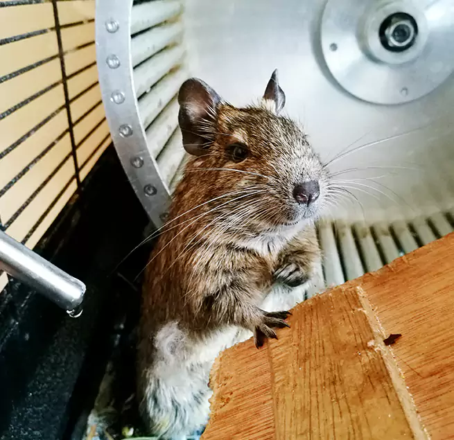 Why Homeowners & Businesses Trust Us Pampa, TX